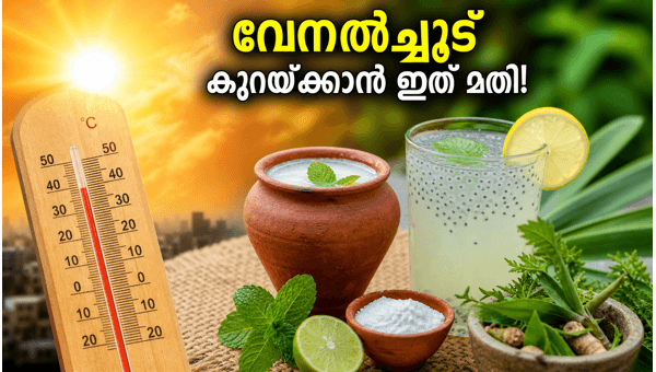 Heatwave Protection Tips: Best Traditional Drinks and Ayurvedic Remedies to Beat the Summer Heat in 2026
