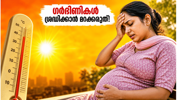 Heatwave safety tips for pregnant women: Essential precautions and diet advice to stay cool during the May 2026 red alert period Heatwave safety tips for pregnant women: Essential precautions and diet advice to stay cool during the May 2026 red alert period