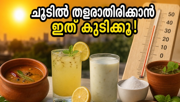 Heatwave safety tips: Best homemade drinks to stay hydrated and beat the summer heat in 2026