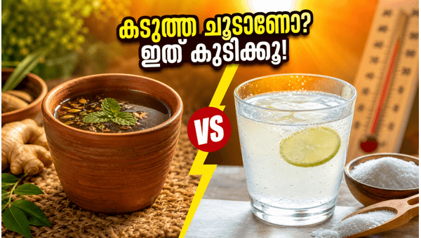 Heatwave Safety Tips 2026: Best Hydration Drinks and Summer Health Advice to Beat the Extreme Heat Heatwave Safety Tips 2026: Best Hydration Drinks and Summer Health Advice to Beat the Extreme Heat