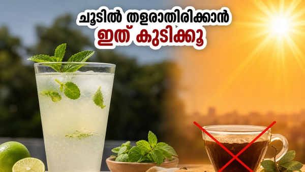 Heatwave Safety Tips: How to Stay Hydrated and Beat the Summer Heat in 2026 with Natural Drinks
