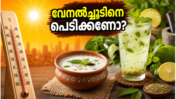 Heatwave safety tips: Essential health precautions to stay hydrated and cool during the May 2026 summer heat in Kerala Heatwave safety tips: Essential health precautions to stay hydrated and cool during the May 2026 summer heat in Kerala