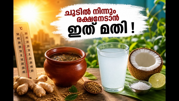 Heatwave Safety Tips 2026: Best Traditional Drinks and Natural Remedies to Beat the Scorching Summer Heat and Stay Hydrated Heatwave Safety Tips 2026: Best Traditional Drinks and Natural Remedies to Beat the Scorching Summer Heat and Stay Hydrated