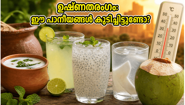 Heatwave Safety Tips: Best Traditional Drinks and Foods to Stay Cool and Hydrated in 2026
