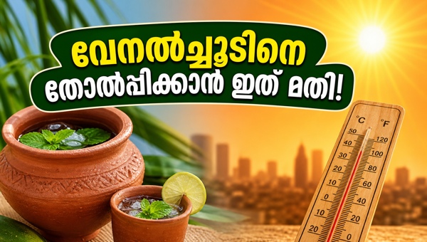 Summer Heatwave Survival: Best Ayurvedic Tips and Natural Drinks to Stay Hydrated in 2026