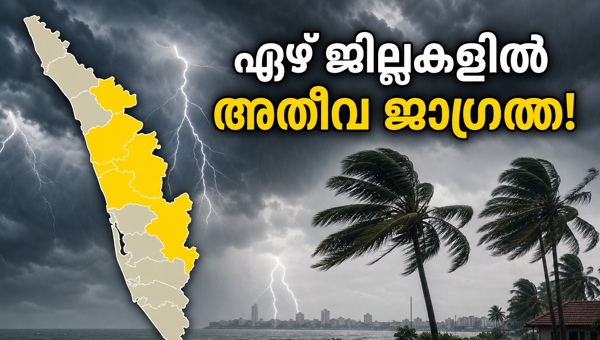 Kerala Weather Update: Yellow Alert Issued in 7 Districts for Heavy Rain and Strong Winds on May 16, 2026