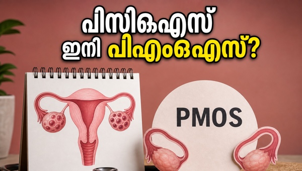 PMOS: Understanding the New Name for PCOS and Why It Matters for Your Metabolic Health in 2026