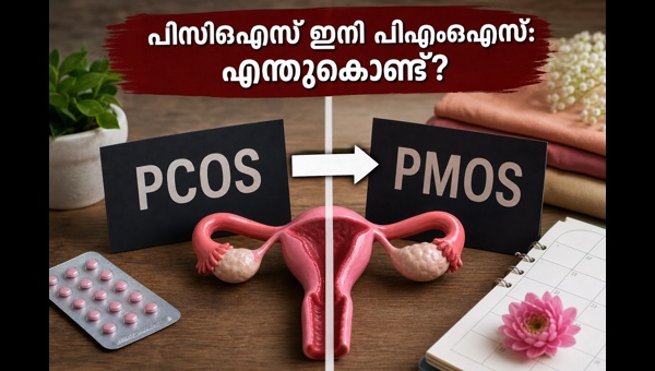 PMOS: Why PCOS Has Been Renamed and How This Change Impacts Women's Metabolic Health in 2026