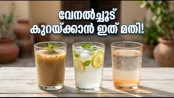 Summer Health Tips: Best Natural Drinks to Beat the 2026 Heatwave and Stay Hydrated