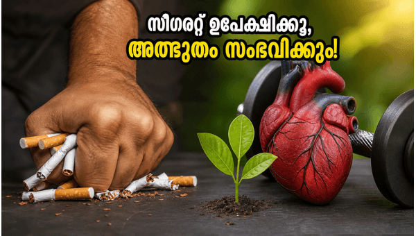 World No Tobacco Day 2026: Proven Health Benefits of Quitting Smoking for Men and How to Boost Your Energy Levels Naturally