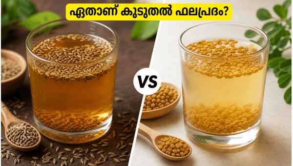 Cumin Water vs Fenugreek Water for Belly Fat: Which One Works Best?