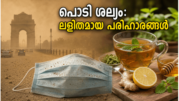 Delhi Dust Pollution: Simple Home Remedies for Cough and Sinus Relief 2026