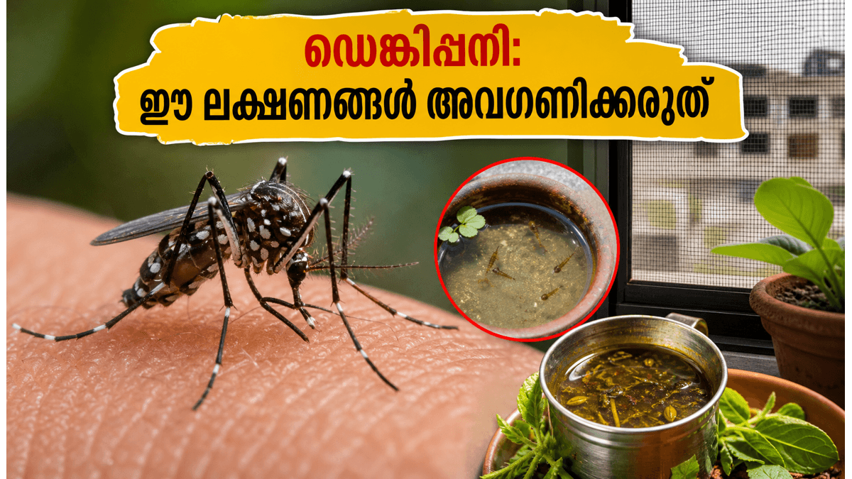 ഡൽഹിയിൽ ഡെങ്കിപ്പനി പടരുന്നു; ഈ ലക്ഷണങ്ങൾ അവഗണിച്ചാൽ അപകടം, വീട്ടിൽ ചെയ്യേണ്ട മുൻകരുതലുകൾ ഇതാ