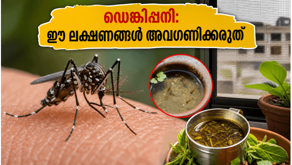 Dengue Fever Surge in Delhi 2026: Critical Symptoms, Prevention Tips, and Home Care Advice