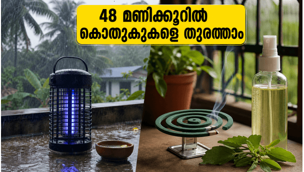 How to Get Rid of Mosquitoes at Home in 48 Hours: Monsoon Health Tips 2026