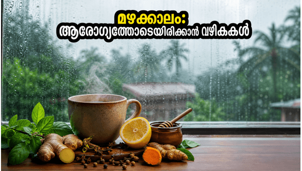 Monsoon Health Tips 2026: Ayurvedic Home Remedies to Prevent Monsoon Diseases and Stay Healthy