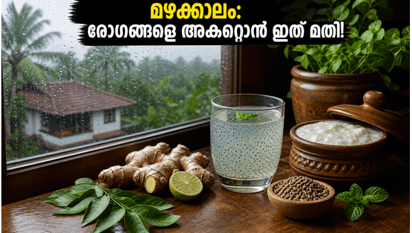 Monsoon Health Tips 2026: Best Immunity Boosting Drinks to Stay Safe in Kerala
