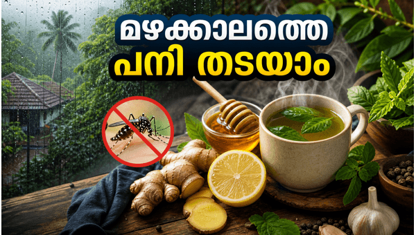 Monsoon Health Tips 2026: Simple Home Remedies for Fever, Cough, and Dengue Prevention