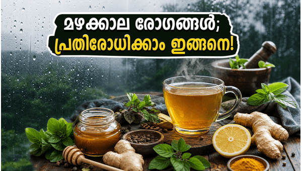 Monsoon Health Tips 2026: Simple Home Remedies to Stay Safe During Uttar Pradesh Rains