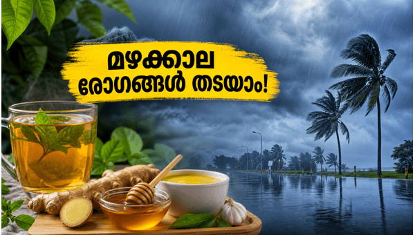 Monsoon Health Tips: How to Stay Safe in Odisha and Karnataka During Rains 2026 Monsoon Health Tips: How to Stay Safe in Odisha and Karnataka During Rains 2026