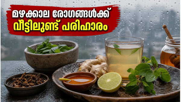 Mumbai Orange Alert: Effective Home Remedies for Monsoon Cough, Cold, and Digestion Issues 2026 Mumbai Orange Alert: Effective Home Remedies for Monsoon Cough, Cold, and Digestion Issues 2026