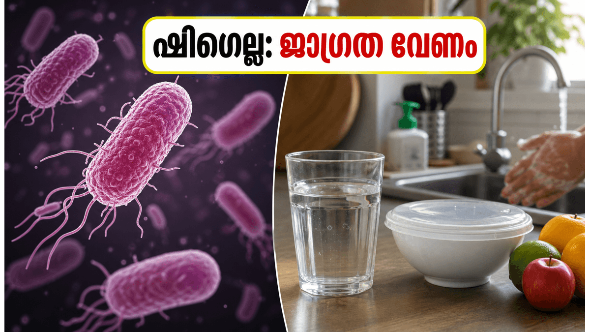 വടക്കൻ കേരളത്തിൽ ഷിഗെല്ല ഭീഷണി; ഈ ലക്ഷണങ്ങൾ കണ്ടാൽ ഒട്ടും വൈകരുത്, ശ്രദ്ധിക്കാൻ കാര്യങ്ങൾ ഇതാ