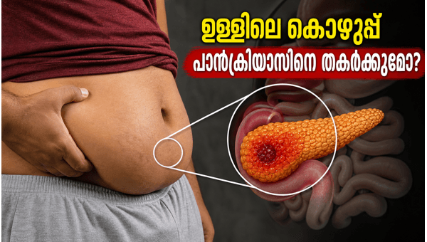 Visceral Fat and Pancreas Health: Understanding Thin-Fat Syndrome and How to Reduce Belly Fat Safely