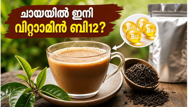 Vitamin B12 and Folate in Tea: New Health Initiative for Pregnant Women in India 2026