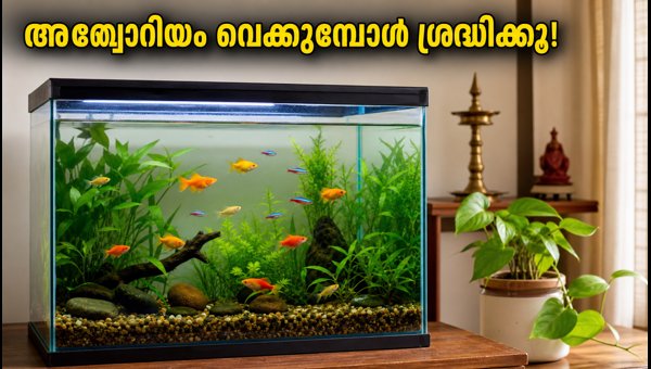 Aquarium Vastu Tips 2026: Best Placement and Maintenance Guide for Positive Energy at Home