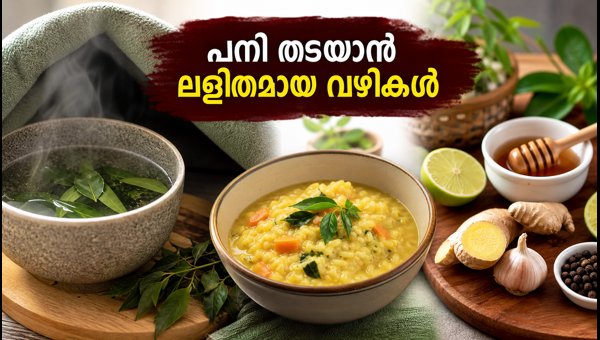 Bengaluru Fever Outbreak: Effective Home Remedies and Essential Safety Tips to Stay Healthy in 2026