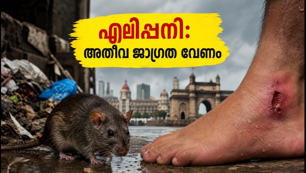 Leptospirosis Alert in Mumbai 2026: Essential Skin Protection Tips During Heavy Monsoon Rains Leptospirosis Alert in Mumbai 2026: Essential Skin Protection Tips During Heavy Monsoon Rains
