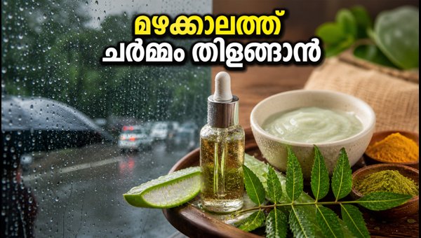 Monsoon Skincare and Haircare Tips: How to Protect Your Skin and Hair from Humidity and Infections Monsoon Skincare and Haircare Tips: How to Protect Your Skin and Hair from Humidity and Infections