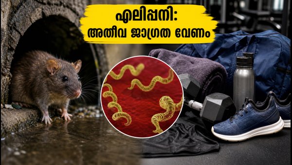Mumbai Red Alert 2026: Essential Health Tips for Men to Prevent Leptospirosis