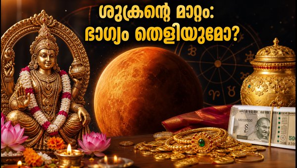 Venus Enters Purva Phalguni Star 2026: Financial Gains and Love Predictions for Zodiac Signs Venus Enters Purva Phalguni Star 2026: Financial Gains and Love Predictions for Zodiac Signs