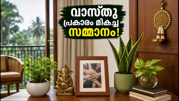Friendship Day 2026: Best Vastu-Approved Gift Ideas to Bring Prosperity to Your Friend's Home