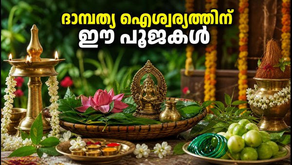 Hariyali Teej 2026: Fasting Rituals and Zodiac-Wise Puja Guide for Marital Bliss Hariyali Teej 2026: Fasting Rituals and Zodiac-Wise Puja Guide for Marital Bliss