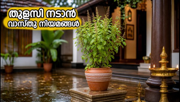 Kamika Ekadashi 2026: Vastu Tips for Tulsi Plant Placement and Monsoon Care