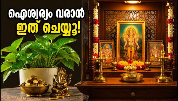 Kamika Ekadashi 2026: Vastu Tips to Bring Prosperity and Positive Energy at Home Kamika Ekadashi 2026: Vastu Tips to Bring Prosperity and Positive Energy at Home