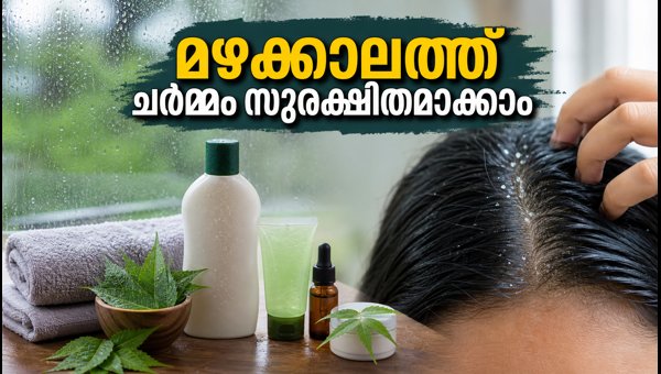 Monsoon Skin Care Tips: How to Prevent Fungal Infections and Dandruff During Heavy Rain 2026 Monsoon Skin Care Tips: How to Prevent Fungal Infections and Dandruff During Heavy Rain 2026