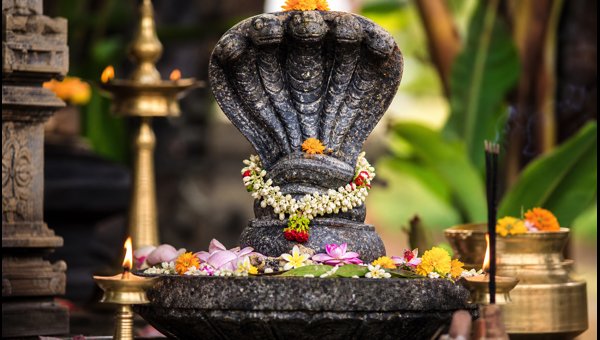 Nagapanchami 2026 Puja Timings and Significance: How to Worship Nag Devatas Nagapanchami 2026 Puja Timings and Significance: How to Worship Nag Devatas
