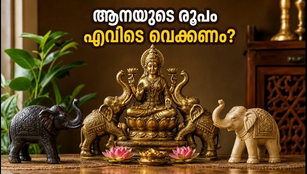 Vastu Tips for Placing Elephant Figurines at Home: Attract Prosperity and Positive Energy Vastu Tips for Placing Elephant Figurines at Home: Attract Prosperity and Positive Energy