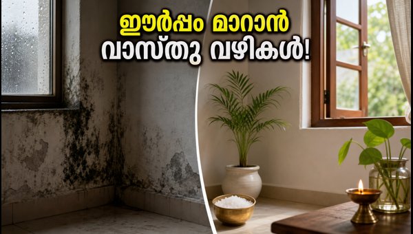 Vastu Tips for Rainy Season 2026: Remove Dampness and Protect Your Home from Financial Loss Vastu Tips for Rainy Season 2026: Remove Dampness and Protect Your Home from Financial Loss