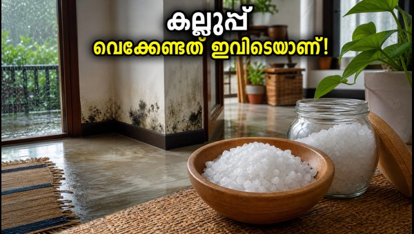 Vastu Tips: How to Use Rock Salt to Remove Moisture and Bad Odor at Home This Rainy Season 2026