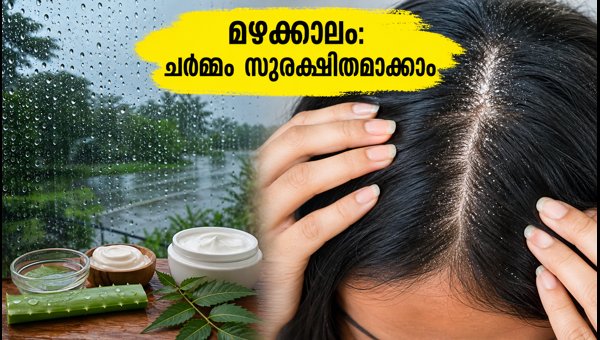 Monsoon Health Tips 2026: Protect Skin and Hair from Fungal Infections During Heavy Rains Monsoon Health Tips 2026: Protect Skin and Hair from Fungal Infections During Heavy Rains