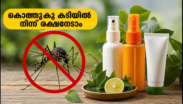 Mosquito Repellent Safety Tips for Dengue Prevention 2026: How to Use DEET and Picaridin Correctly Mosquito Repellent Safety Tips for Dengue Prevention 2026: How to Use DEET and Picaridin Correctly