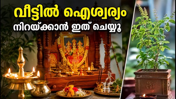 Parivartini Ekadashi 2026: Essential Vastu Tips for Puja Room, Kitchen, and Home Prosperity