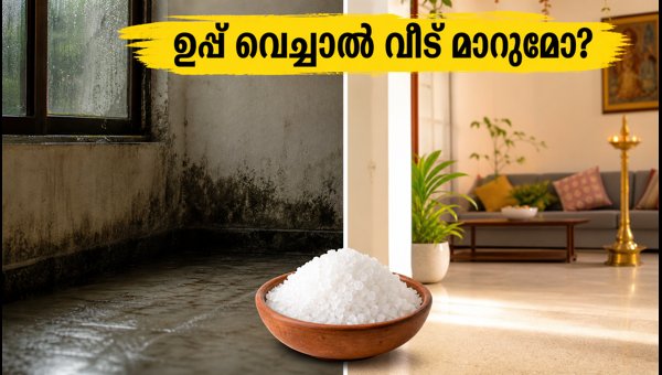 Salt Vastu for Home: Simple Tips to Remove Moisture and Odor for a Positive Living Space in 2026 Salt Vastu for Home: Simple Tips to Remove Moisture and Odor for a Positive Living Space in 2026