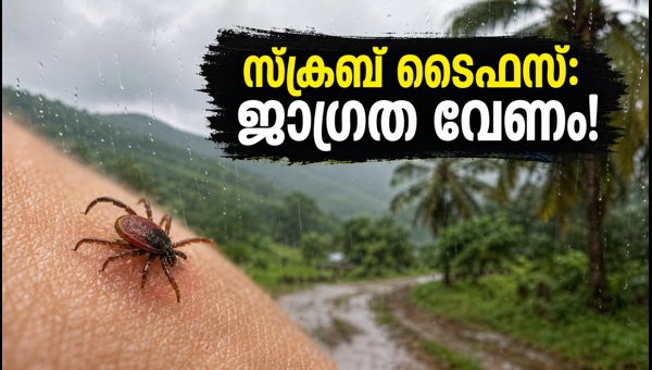 Scrub Typhus Outbreak in Odisha 2026: Essential Monsoon Travel Health Warnings and Prevention Tips Scrub Typhus Outbreak in Odisha 2026: Essential Monsoon Travel Health Warnings and Prevention Tips