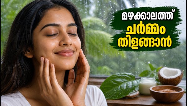 Skincare and Scalp Care Tips for Humid Rainy Weather in Kerala: How to Prevent Fungal Acne and Dandruff 2026 Skincare and Scalp Care Tips for Humid Rainy Weather in Kerala: How to Prevent Fungal Acne and Dandruff 2026