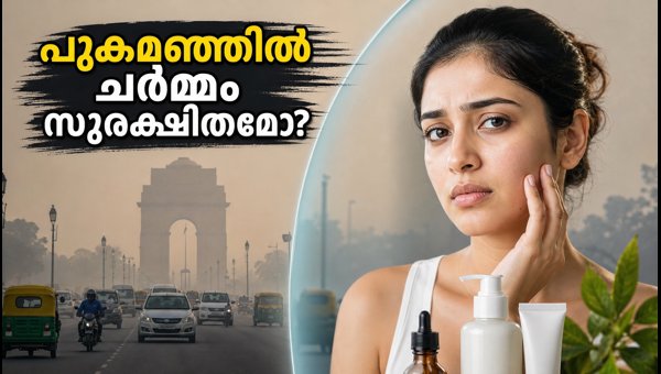 Delhi Smog Skincare Routine 2026: Essential Tips to Protect Your Skin from Air Pollution Damage Delhi Smog Skincare Routine 2026: Essential Tips to Protect Your Skin from Air Pollution Damage